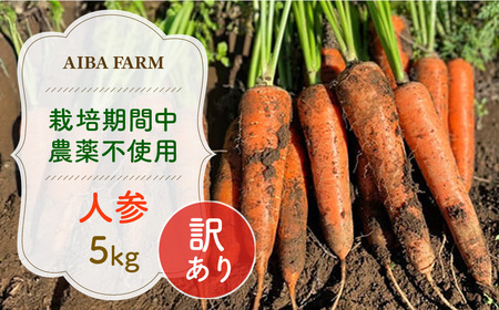 y12`2zy͔|Ԓ_sgpz󂠂lQTs AIBA FARM@ai /  ₳ ɂ񂶂 lQ jW Y Y Â  󂠂 s B N wV[ t[hX AIBA FA
