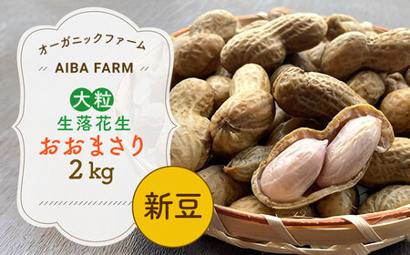【先行予約・新豆 】千葉県産 大粒 農家直送！「生落花生」おおまさり２kg　【 ふるさと納税 人気 おすすめ ランキング 皮付き 殻付き ピーナッツ ピーナツ 落花生 オーガニック 千葉県 富里市 送料無料 】TML009