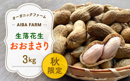 [先行予約・新豆]農家直送!千葉県産「生落花生」おおまさり3kg [ ふるさと納税 人気 おすすめ ランキング 皮付き 殻付き ピーナッツ ピーナツ 落花生 オーガニック 千葉県 富里市 送料無料 ]
