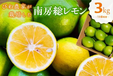 びわ農家が栽培した「南房総レモン」3kg ちばエコ農産物 ユｰレカ 調味料 果物 フルｰツ グリｰンレモン イエロｰレモン 柑橘 mi