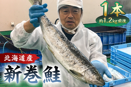 新巻鮭1本(1.2kg前後・北海道産) mi