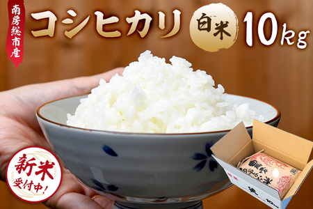 [2025年9月10日以降発送予定][令和7年産]南房総市産コシヒカリ白米10kg mi0018-0016 白米 コシヒカリ こしひかり おにぎり こだわり