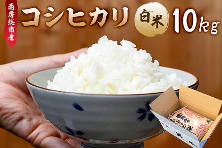 1月発送 南房総市産コシヒカリ10kg[2024年産]白米 コシヒカリ おにぎり こだわり mi0018-0016-01