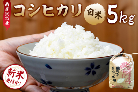 10月発送[新米]南房総市産コシヒカリ5kg[2024年産] 白米 お米 ご飯 食品 国産 おにぎり こしひかり mi0018-0012-10