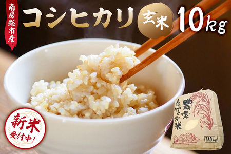 [2025年9月10日以降発送予定][令和7年産]南房総市産コシヒカリ玄米10kg mi0018-0014 玄米 コシヒカリ こしひかり おにぎり こだわり