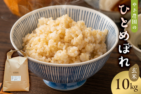 1月発送 ひとめぼれ玄米10kg[2024年産]ごはん ご飯 ひとめぼれ ヒトメボレ おにぎり mi0100-0004-1-01