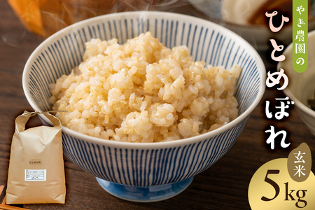 11月発送[新米]ひとめぼれ玄米5kg[2024年産] ごはん ご飯 ひとめぼれ ヒトメボレ おにぎり mi0100-0004-2-11