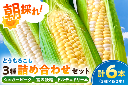[千葉県産]朝採れとうもろこし3種詰め合わせセット(3種×各2本 計6本) mi0113-0002 野菜 旬 食べ比べ 詰め合わせ 高糖度 生食可