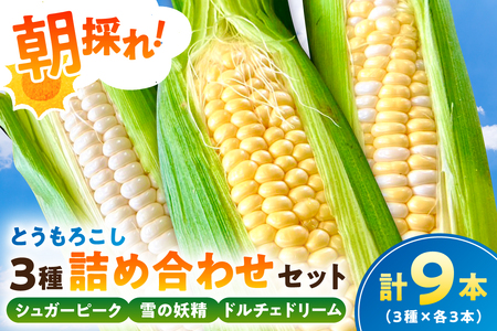【先行受付 2026年6月中旬～8月上旬発送予定】【千葉県産】朝採れとうもろこし3種詰め合わせセット（3種×各3本 計9本） mi0113-0003