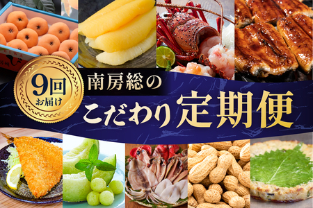 [9回お届けコース]南房総のこだわり定期便 mi1111-0002 魚 金目鯛 ひらき 真アジ サバ スルメイカ ダルマイカ 一夜干し さんが焼き メロン びわ うなぎ あじフライ 生落花生 伊勢えび 数の子