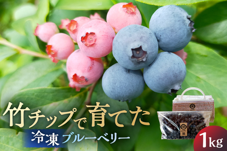 [南房総産・特別なブルーベリー]竹チップで育てた、冷凍ブルーベリー 1kg mi0089-0001 果物 フルｰツ ブルｰベリｰ 冷凍 竹チップ アレンジ ヨｰグルト ジャム ソｰス