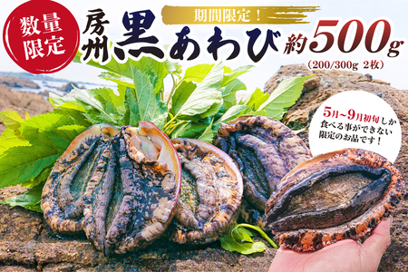 [期間限定・数量限定]房州 黒あわび 約500g (200/300g × 2枚) mi0020-0012 特産品 赤あわび アワビ 海鮮 貝 海の幸 限定
