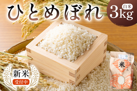 [2025年9月中旬以降発送予定]ひとめぼれ3kg[2025年産] mi0088-0003 お米 白米 ごはん ひとめぼれ おにぎり ブランド米 国産米