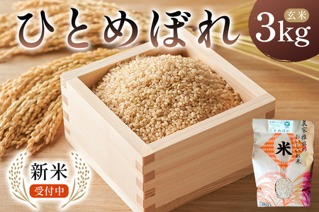 [2025年9月中旬以降発送予定]ひとめぼれ玄米3kg[2025年産] mi0088-0004 お米 玄米 ごはん ひとめぼれ おにぎり ブランド米 国産米