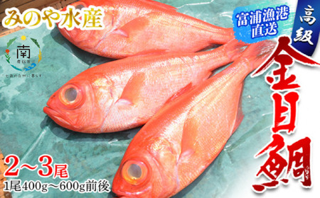 富浦漁港直送「金目鯛」