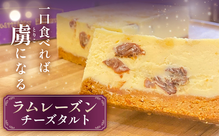 ラムレーズンチーズタルト mi0099-0006