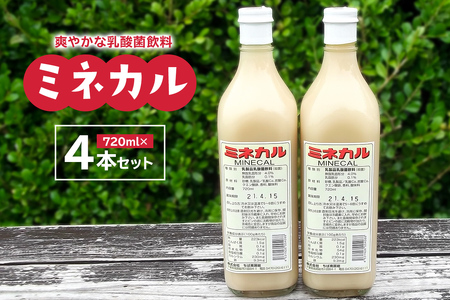 千葉県 牛乳の返礼品 検索結果 | ふるさと納税サイト「ふるなび」