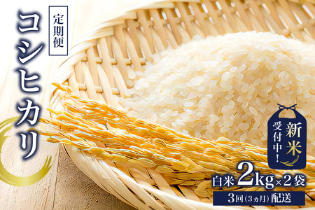 yցzyVāzRVqJ2kg×2y2025NYzy3Ał͂z mi0015-0003