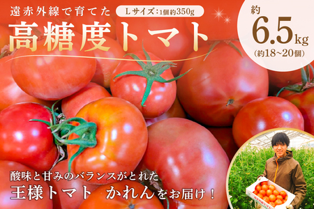 遠赤外線で育てた高糖度トマトLサイズ 約6.5kg 1箱(約18〜20個入) mi0019-0003 野菜 トマト 酸味 王様トマト かれん パスタソｰス スｰプ