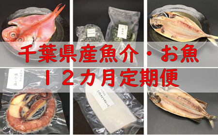 [頒布会]千葉県産魚介・お魚12カ月定期便 mi