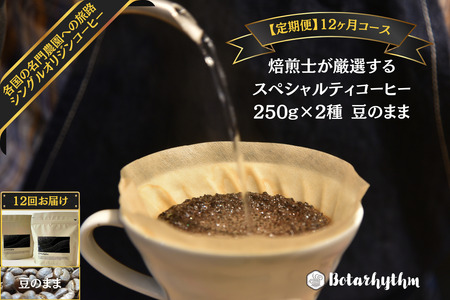 [定期便]スペシャルティコーヒー豆 焙煎士セレクト 250g×2種[豆] 12ヶ月 mi0043-0007 珈琲 セット コｰヒｰ 豆 深煎り浅煎り