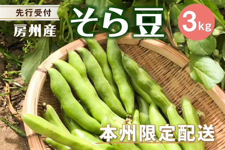 yst 2026N4{`5{\z瓤/\}3kg mi0044-0009 