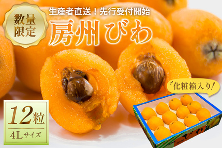 yst 2026N5{`6{\z[Bт4LȏTCY×12iϔj mi0044-0016