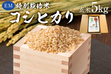 [2023年産]EM特別栽培米こしひかり 玄米5kg mi