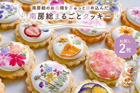南房総まるごとクッキー2枚入(カレンデュラ&レモン、菜の花&落花生) mi