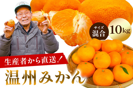 yst 2025N1120珇z B݂ 10kg yTCYz mi0032-0003-3 ݂ ж Â _ ٰ ʕ k