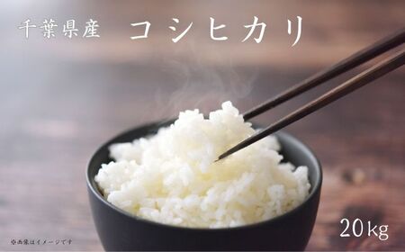 s ߘa7NY t RVqJ 20kg i5kg×4܁j ^   R   RVqJ Ђ ߘa7N V   ͂ 20kg 