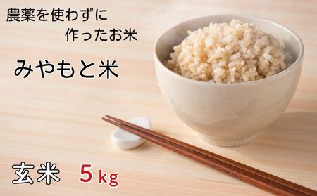 農薬を使わずに作ったお米 みやもと米(玄米) 5kg