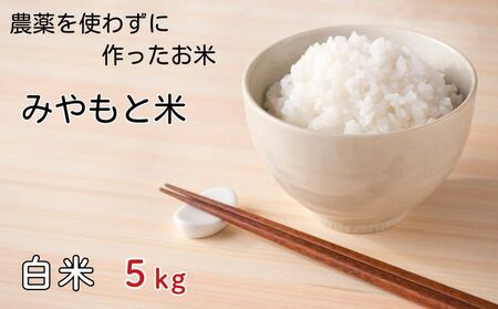 農薬を使わずに作ったお米 みやもと米(白米) 5kg