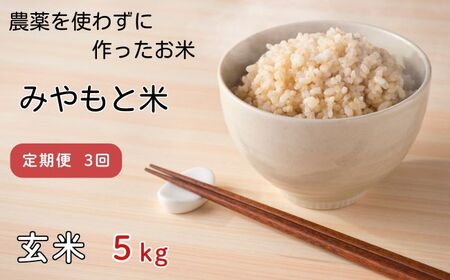 [定期便3回]農薬を使わずに作ったお米 みやもと米(玄米) 5kg