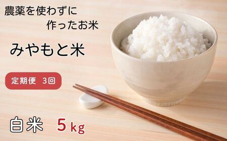 [定期便3回]農薬を使わずに作ったお米 みやもと米(白米) 5kg