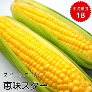 [2026年発送]朝採り とうもろこし スイートコーン「恵味スター」5kg(10〜13本) / とうもろこし トウモロコシ コーン スイートコーン 恵味スター 5kg 産地直送 産直 送料無料