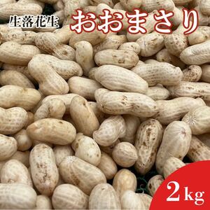 [先行予約]落花生 おおまさり 2kg