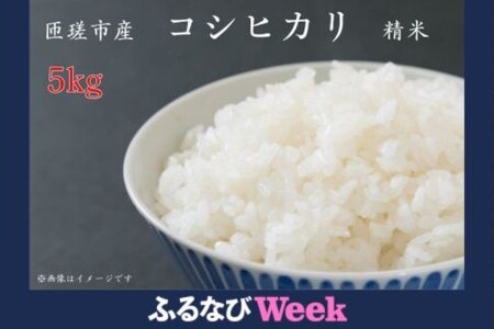 [ふるなびWEEK対象]コシヒカリ 精米 5kg / 米 お米 こめ コメ 精米 白米 コシヒカリ こしひかり 5kg 産地直送