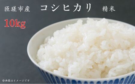 匝瑳市産　コシヒカリ　精米　10kg ／ 米 こめ コメ コシヒカリ こしひかり 10kg 産地直送