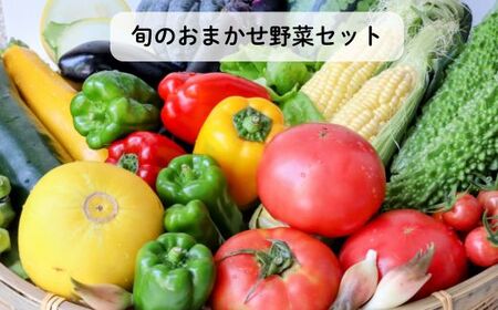 旬のおまかせ野菜セット 4種類以上 / 野菜 やさい 旬の野菜 セット 詰め合わせ