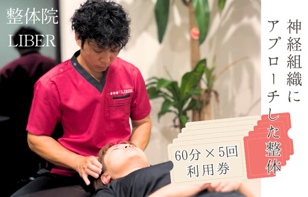 ̉@ LIBER@_ogDɃAv[`́@60×5 p ^  ̉@   ֐ߒ