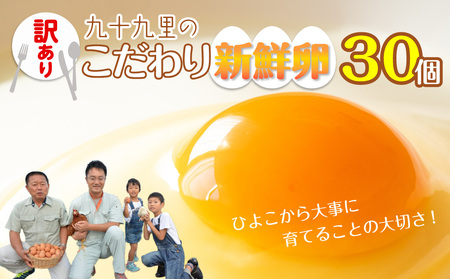 s󂠂t\㗢t@[肽܂p30`CE݂ǂ̗`iԋorʁj ^ ܂  ʎq ^}S  ԋ 󂠂 A p Mtg Ε \㗢t@[