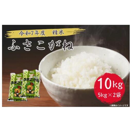 令和7年産 ふさこがね 精米 10kg ( 5kg × 2 )千葉県 匝瑳市 / 米 こめ コメ お米 ごはん ご飯 精米 白米 10kg 5kg ふさこがね 令和7年産 JA 農協 ちばみどり ちばみどり農業協同組合 千葉県 匝瑳市 送料無料