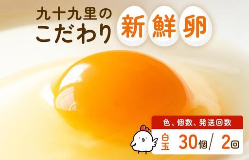 [定期便2回]九十九里ファームこだわりたまご贈答用 30個 〜あおい海・みどりの里〜[白玉] たまご 卵 玉子 タマゴ 白玉 卵かけご飯 新鮮 旨み 甘み 贈答用 贈答 ギフト 贈り物 千葉県 匝瑳市