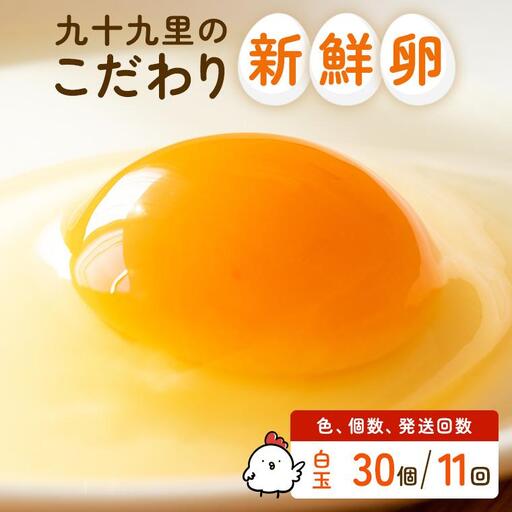 【定期便11回】九十九里ファームこだわりたまご贈答用 30個 ～あおい海・みどりの里～《白玉》 たまご 卵 玉子 タマゴ 白玉 卵かけご飯 新鮮 旨み 甘み 贈答用 贈答 ギフト 贈り物 千葉県 匝瑳市