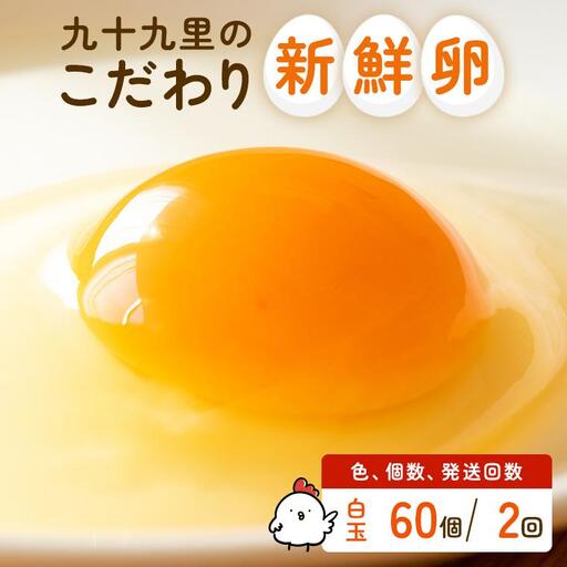 【定期便2回】九十九里ファームこだわりたまご贈答用 60個 ～あおい海・みどりの里～《白玉》 たまご 卵 玉子 タマゴ 白玉 卵かけご飯 新鮮 旨み 甘み 贈答用 贈答 ギフト 贈り物 千葉県 匝瑳市