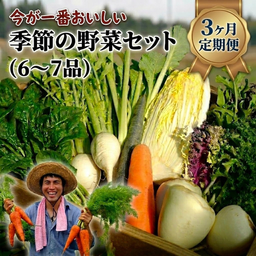 [定期便3回]季節の野菜セット(6〜7品)