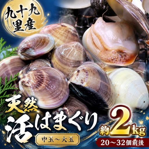 九十九里産 天然 活はまぐり(中玉〜大玉) 約2kg(20〜32個前後) / はまぐり ハマグリ 蛤 天然 活はまぐり 活ハマグリ 活蛤 中玉 大玉 貝 貝類 魚介 魚貝 海鮮 2kg 九十九里産 産地直送 産直 千葉県 匝瑳市