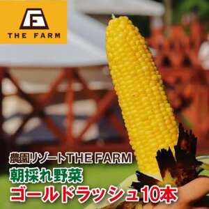 粒ぎっしり!THE FARMの朝採れ「ゴールドラッシュ」 10本[配送不可地域:離島・沖縄県]