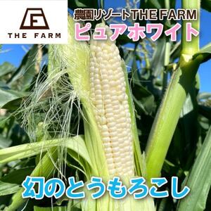 THE FARMの希少なとうもろこし「ピュアホワイト」 10本[配送不可地域:離島・沖縄県]